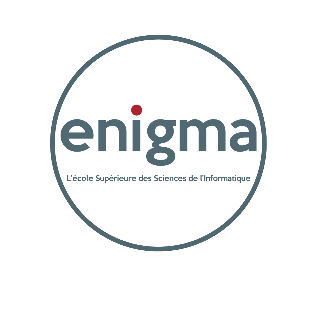 Logo for ENIGMA